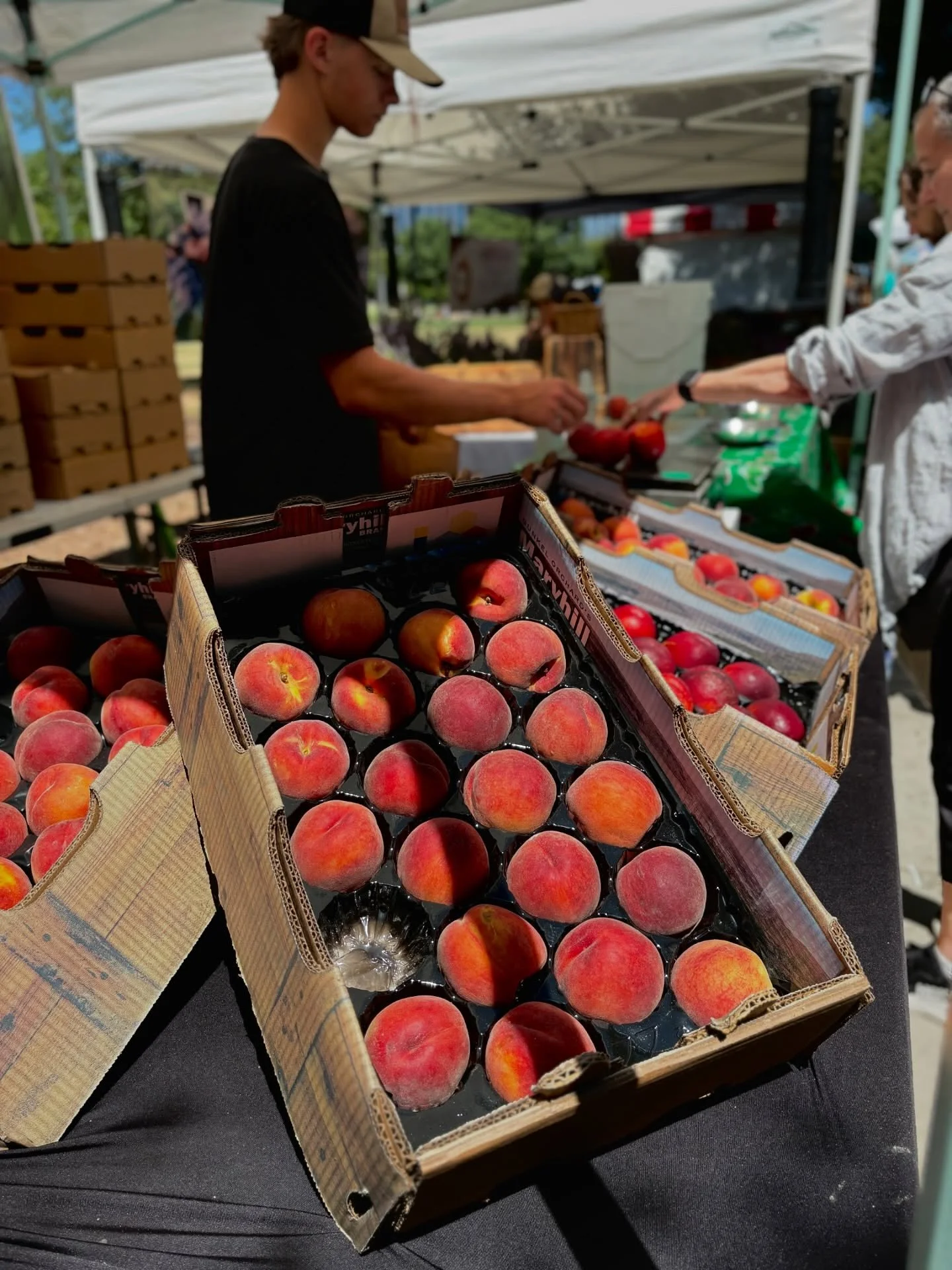 Market is open! We&rsquo;re here until 5pm today with all your favorite ways to stay cool and satiated!