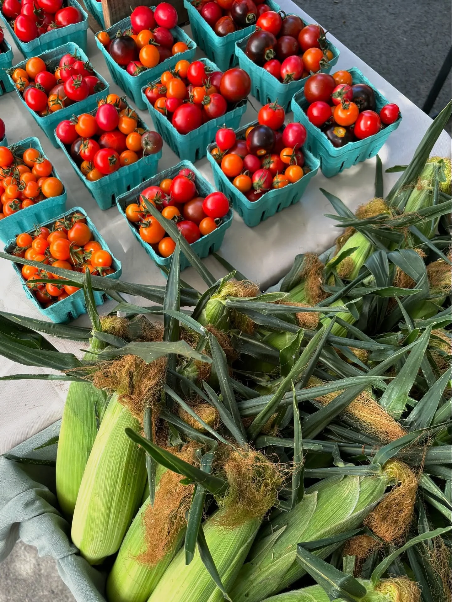 The market is open! Stop by Elizabeth Caruthers Park until 5pm today! Summer is in full swing at the farmers market, enjoy it while you can! 🌽🐓🍅