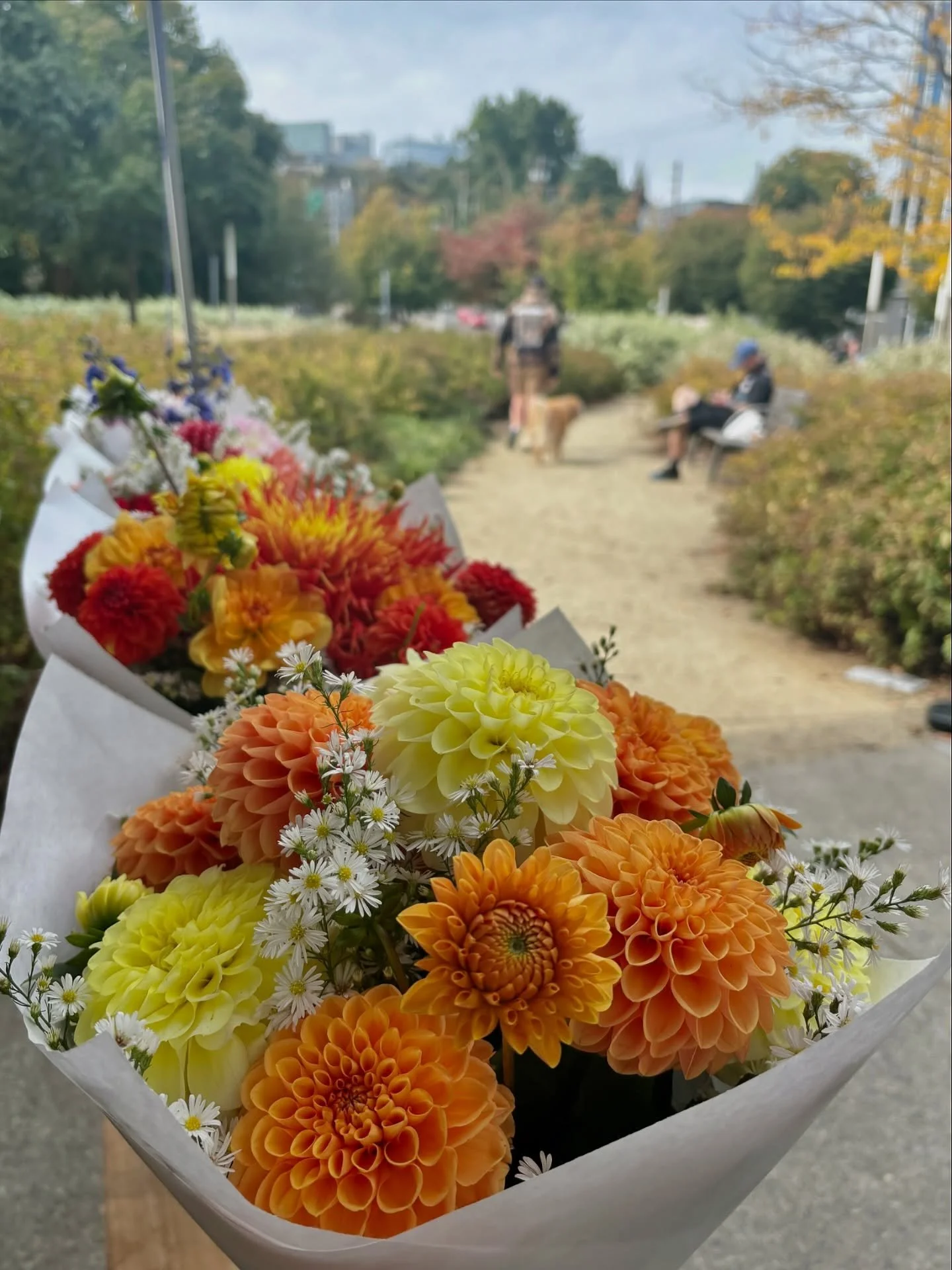 The market is looking beautifully golden today! We&rsquo;re savoring these last 4 markets before the end of the season.