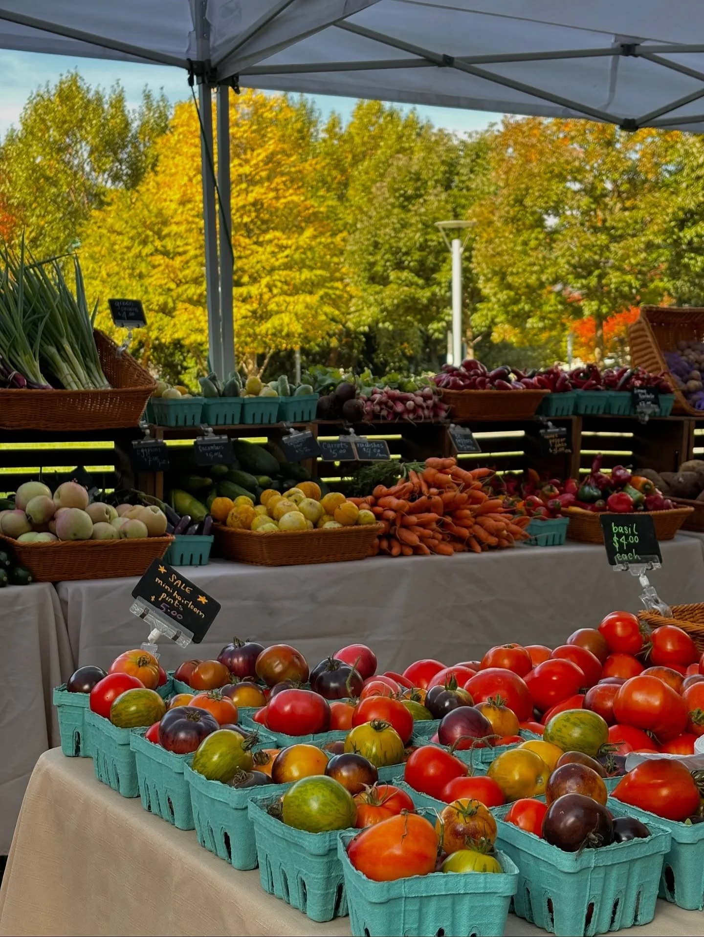 It&rsquo;s a dreamy day for a Farmers Market! Come soak in the sun rays and stock up on your Fall groceries with our small farmers and businesses! We can&rsquo;t believe that there&rsquo;s only 2 more markets left this season!