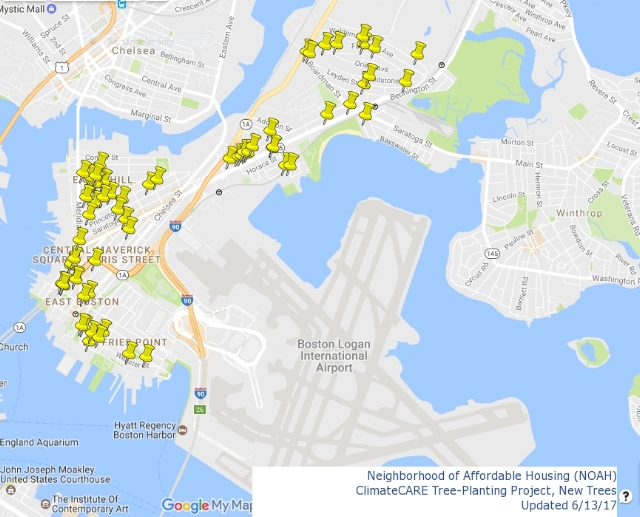 Tree-Planting-Map-Footer.jpg
