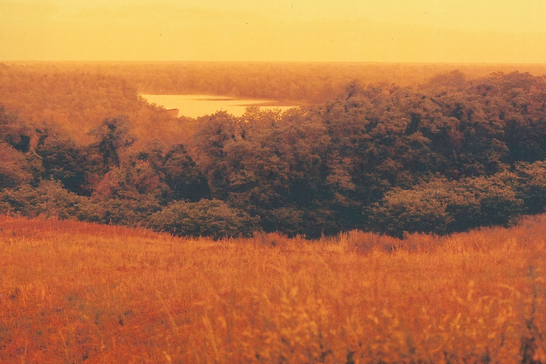 image11.jpg