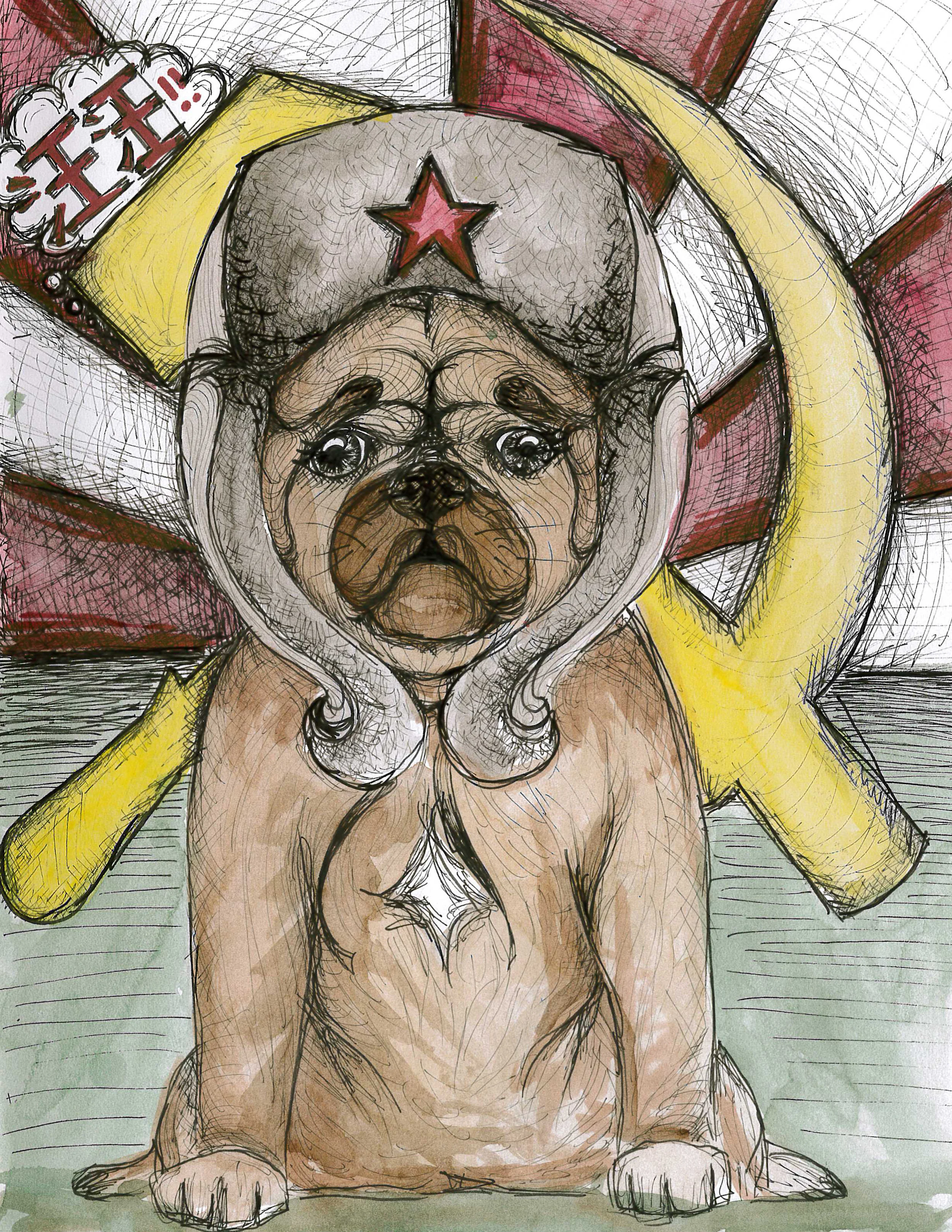 pug.jpg
