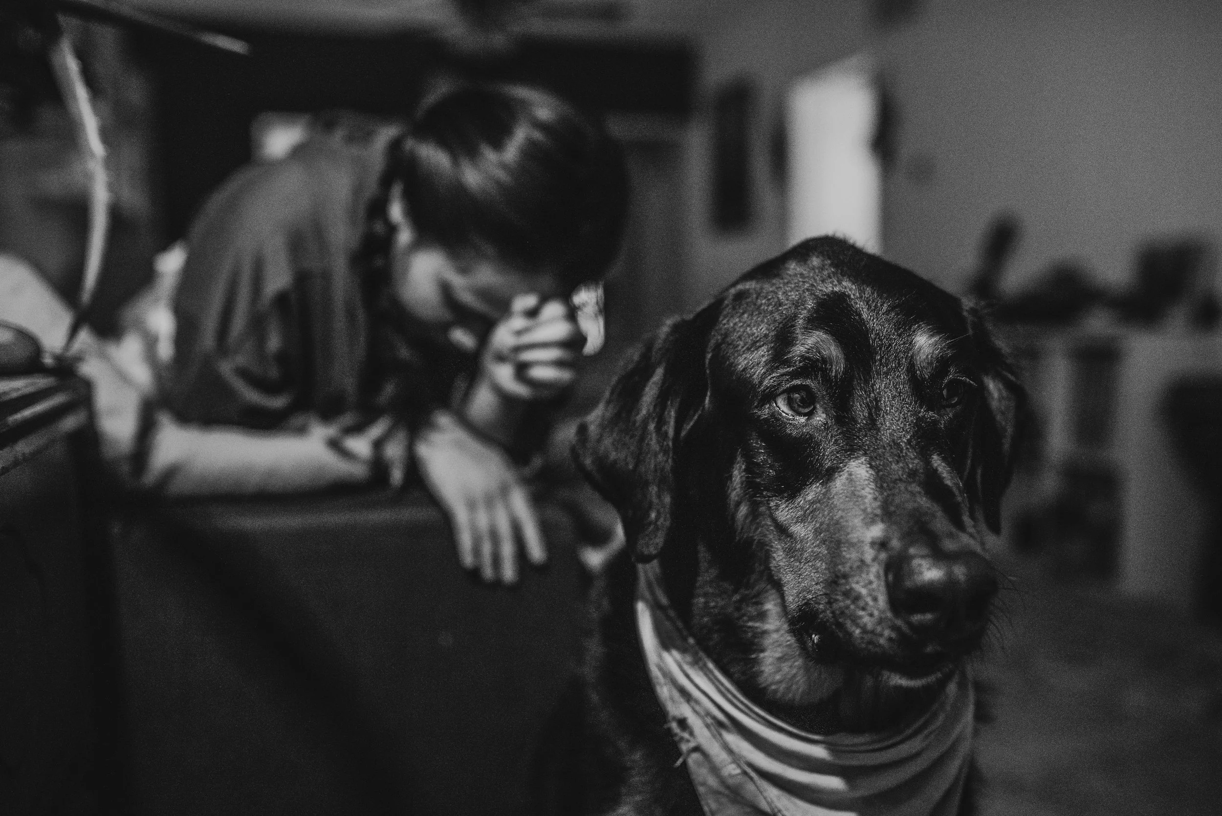 DSC_6290.jpg