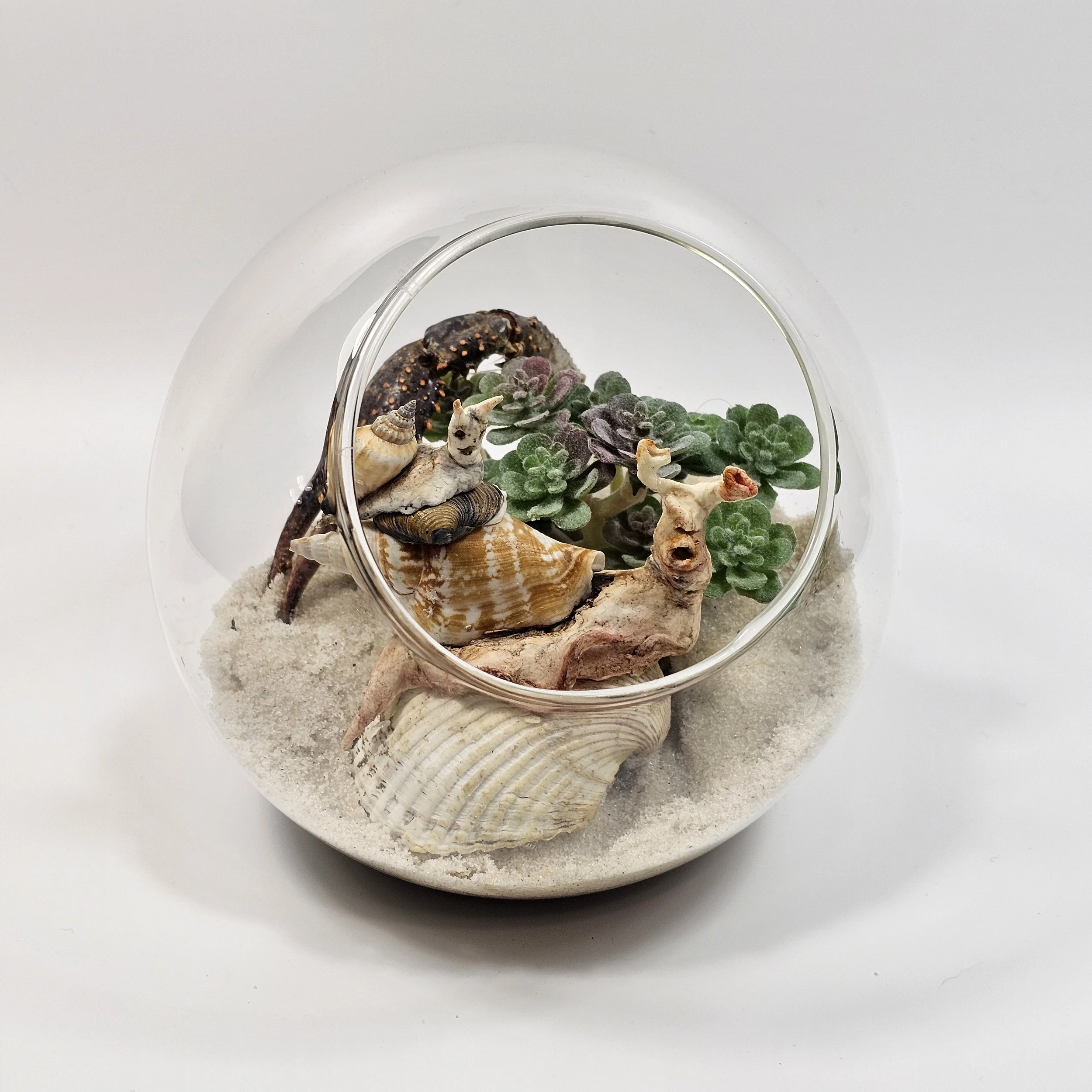 A terrarium holding a fantastical sculpture of an abstract snail made of clay and shells resting in a bed of sand surrounded by succulents