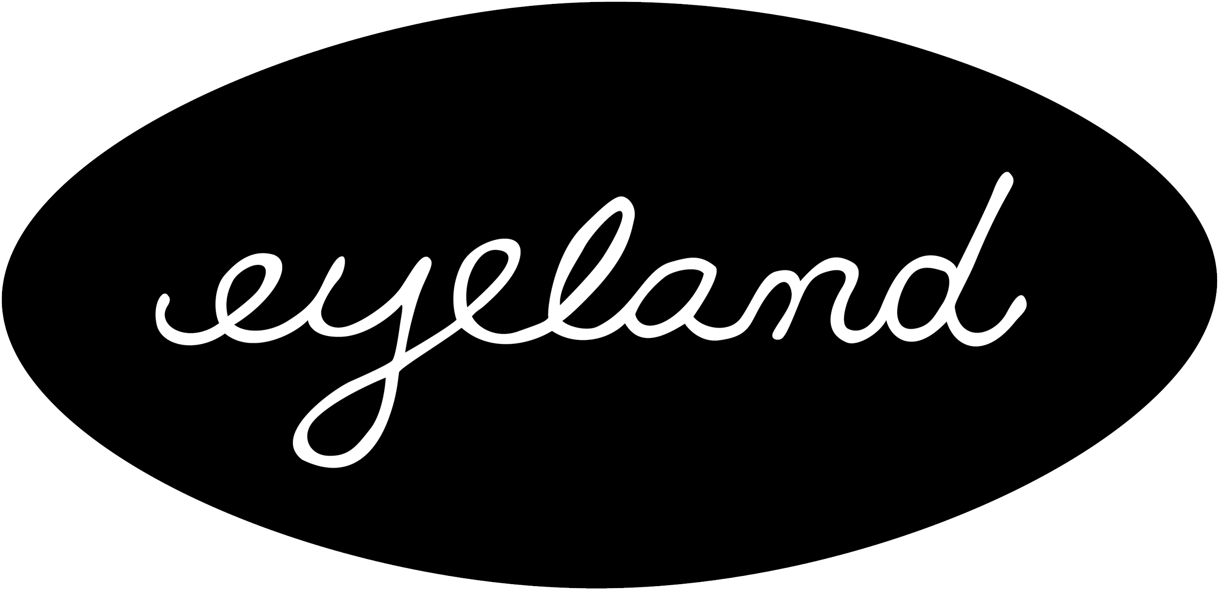 Eyeland Studio