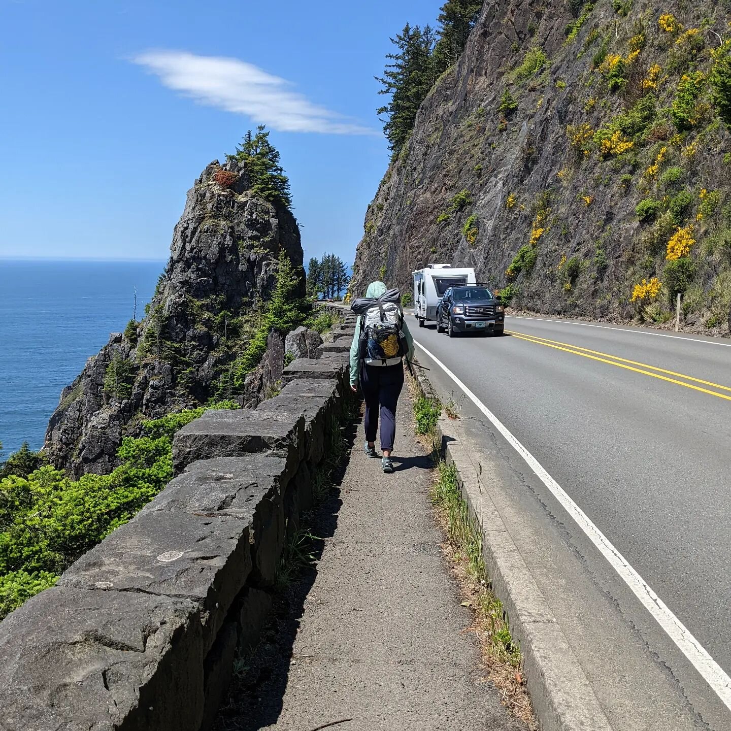 We found the coast 

#berndogyoga #themcdonaldstakeamerica #100miles50states #oregoncoasttrail #highway101 #pacificnorthwest