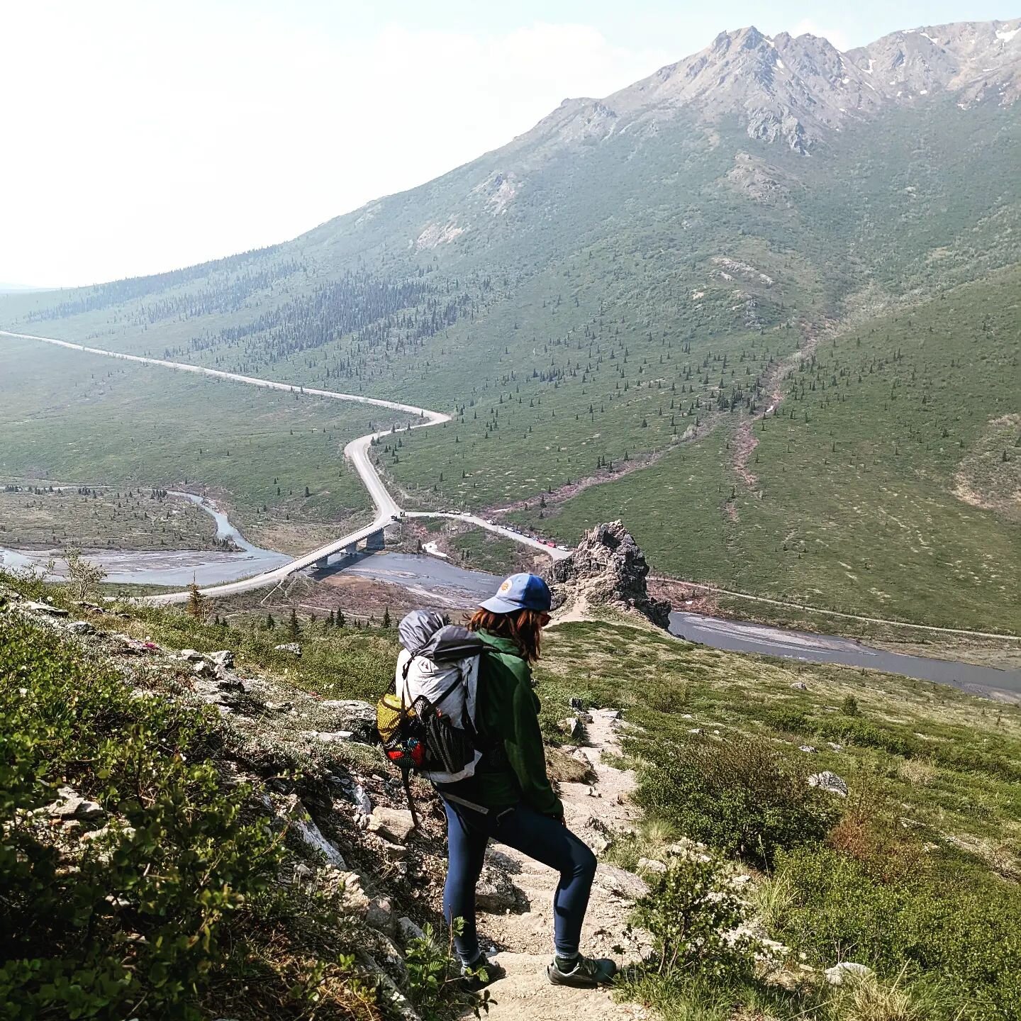 Smoky hiking in Denali. They had snow here last week #100miles50states #themcdonaldstakeamerica #savageriver #berndogyoga #denalinationallpark #savagerock