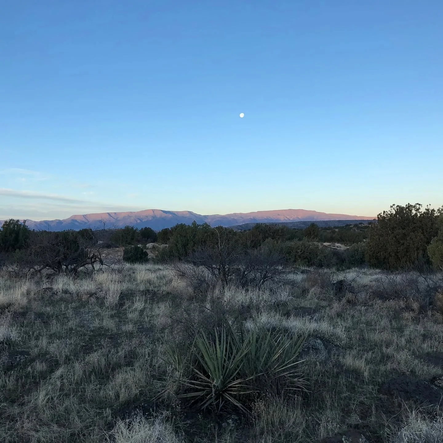 April 2, 2018

Arizona miles 42-59. Chilly night in the tarp tent on parched ground west of Sedona. Free primitive camping off a fire road was the only affordable option on a weekend. Invigorating waking up with the peace and wide views.

The soft li