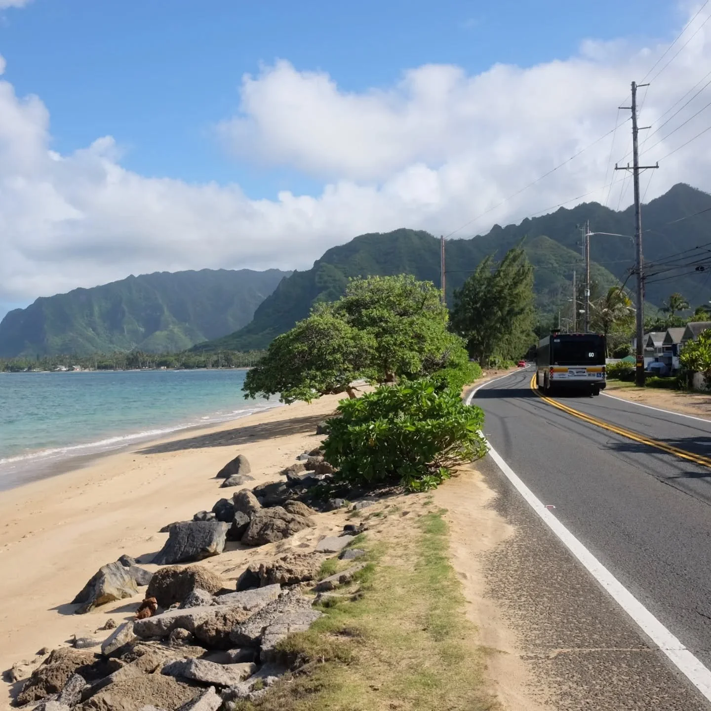 March 11, 2022 

Hawaii miles 34-46. A winter fairytale continued from one beach campground to another on the north side of Oahu. A dozen cats had the campsite just a few spots away, but they kept to themselves. This camp was run by the wild chickens