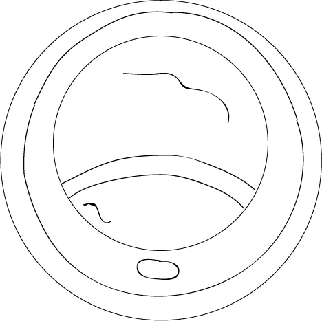 Lids.jpg