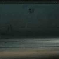 adidas2.gif