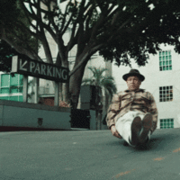 adidas1.gif
