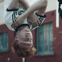 adidas5.gif