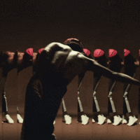adidas7.gif