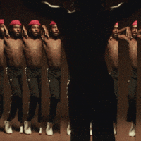 adidas13.gif