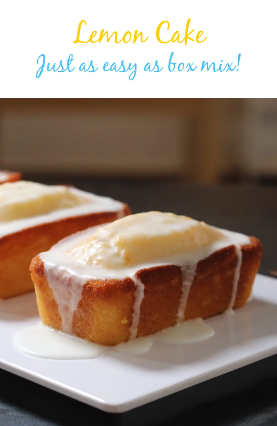 Lemon Cake Pin 2.jpg