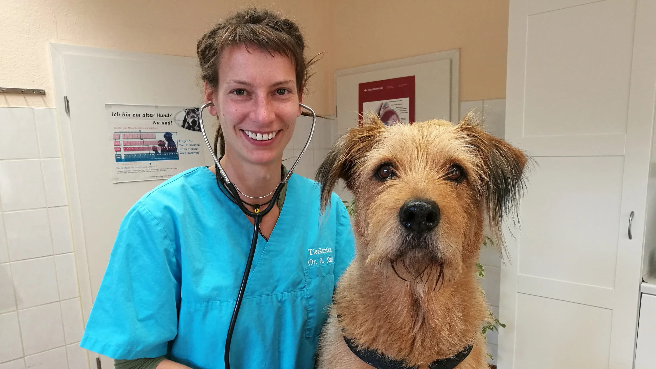 Tierärztliche Praxis Dr. Med. Vet. Elke Grothues Team — Müritz-Tierklinik