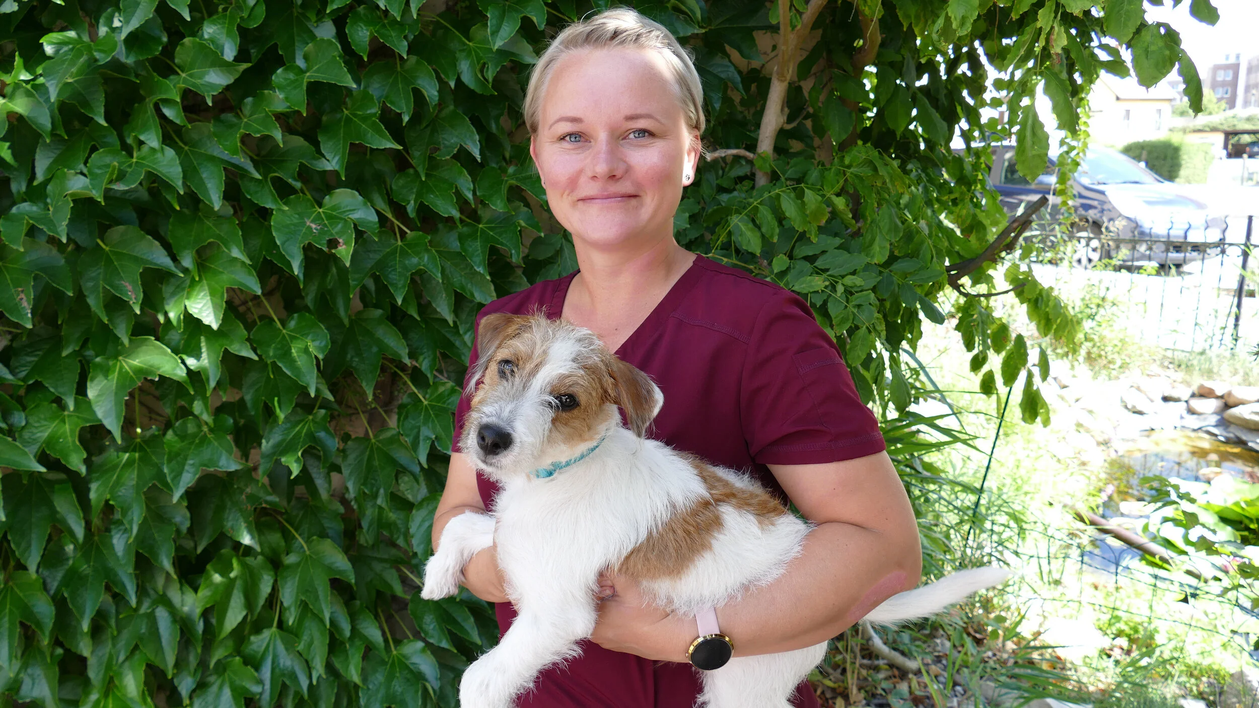 Kleintierpraxis - Dr. Med. Vet. Antje Schadt Team — Müritz-Tierklinik