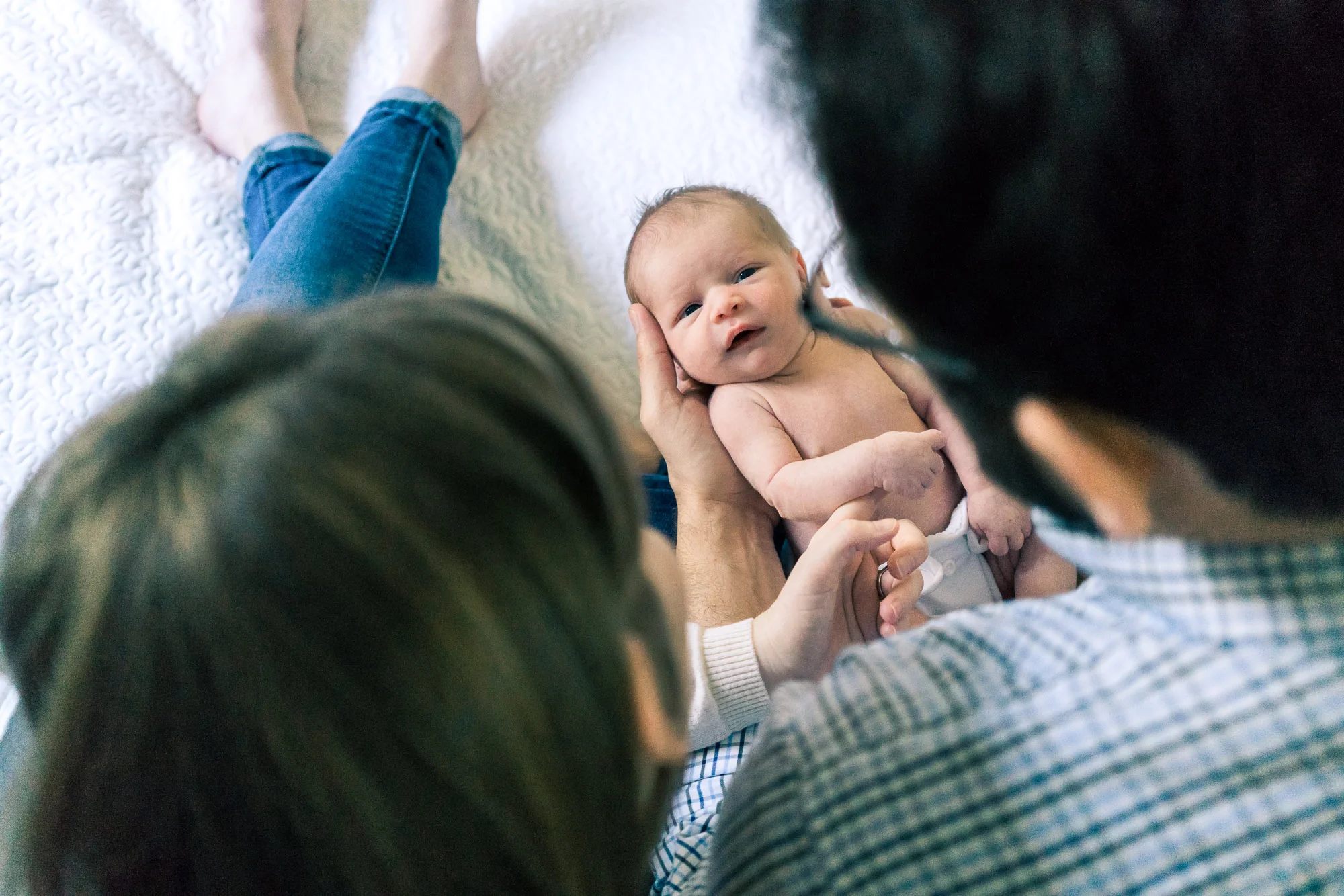 Image from a Newborn Photo Session - Mollie Hewitt | Photography - Portland, Oregon