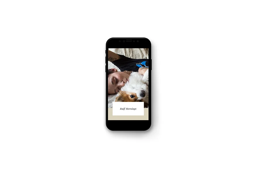 Canva-iphonex_02.jpg