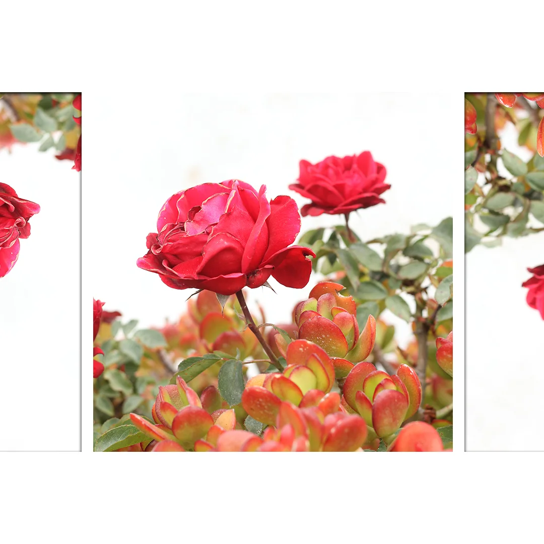 FlowerPower 3 1080x1080.jpg