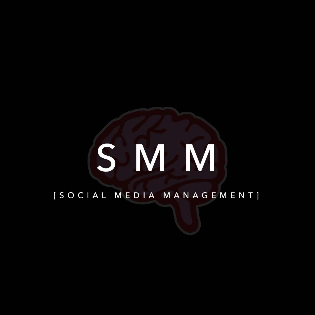 SMM - servicesSKCATTERBRAIN.jpg