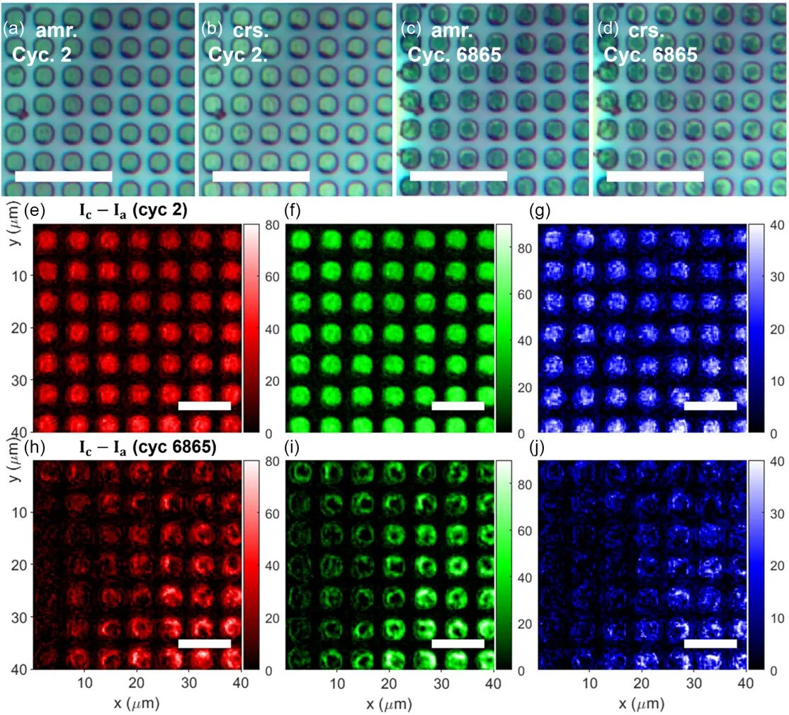 smsc202300098-fig-0004-m.jpg