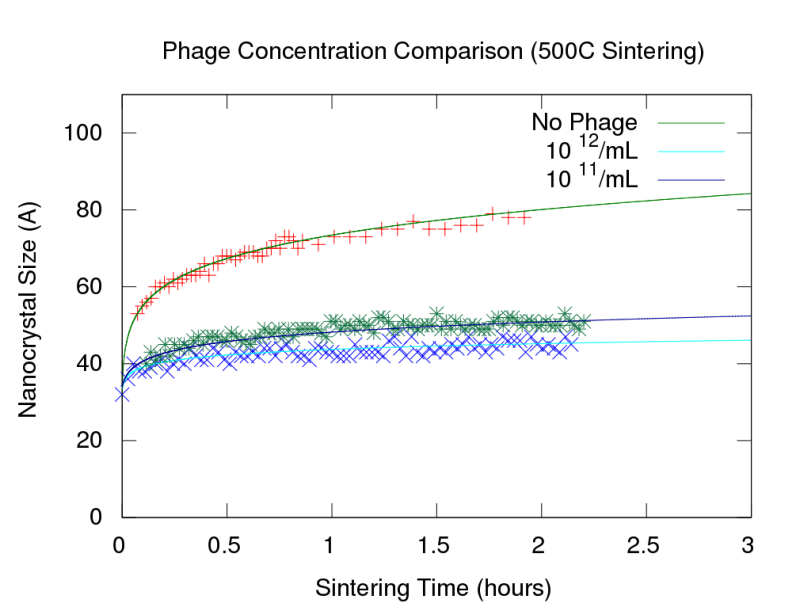 ceria-sintering-phage-concentration.png