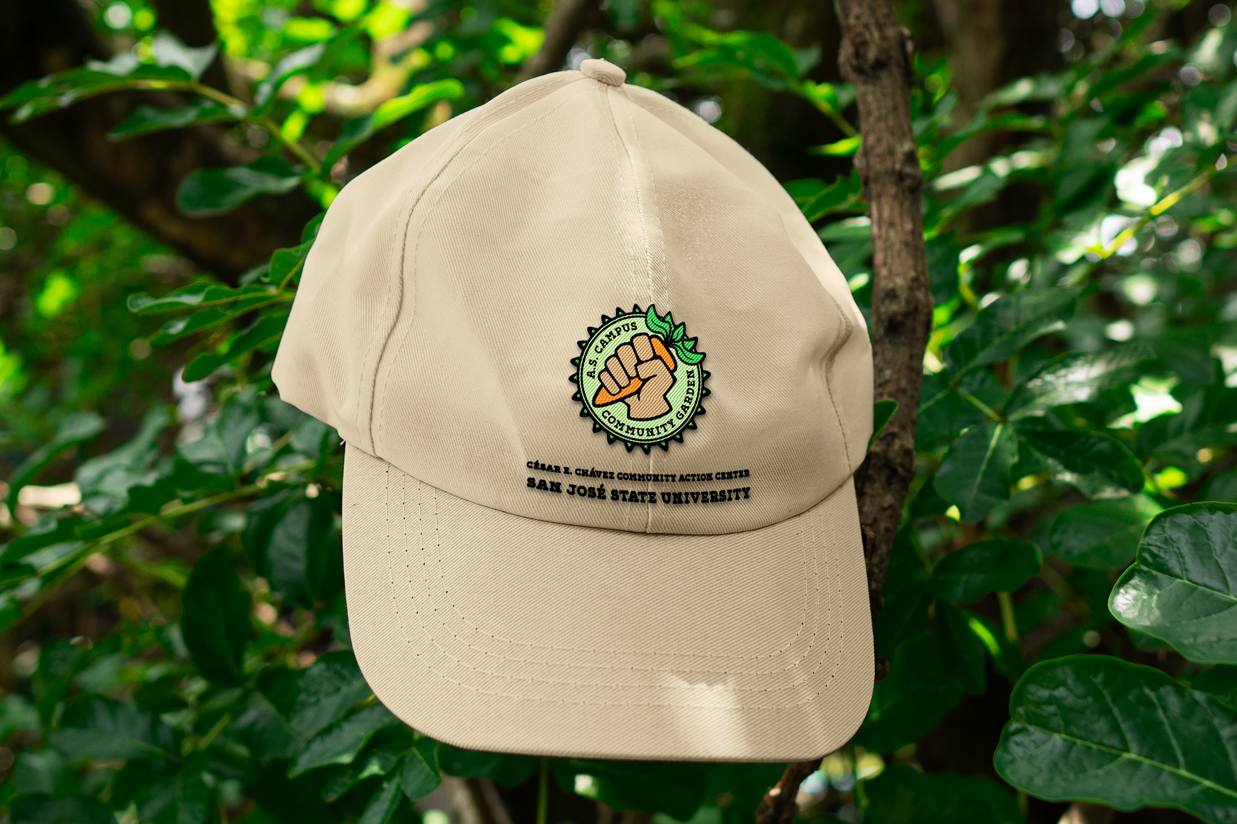 CCCAC Realistic Baseball Cap Mockup Bundle 1.png