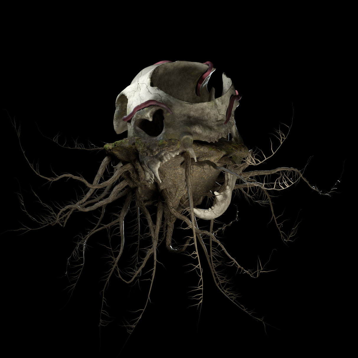 GP_006_Image_Web.png