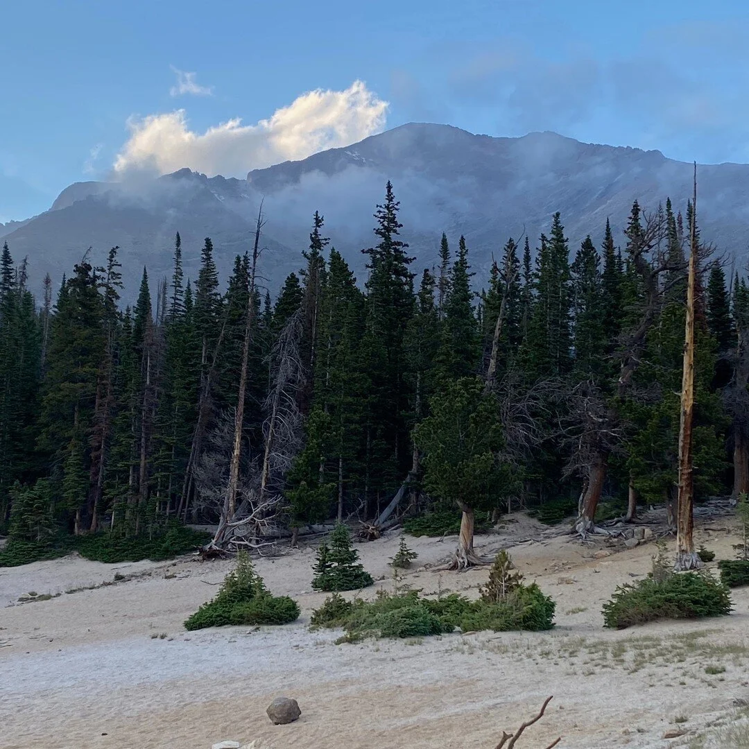 This is About Mountains
by Hilda Conkling

It's maple sugar time
In the mountains.
The brook has climbed its bank
To look over into the world.
Trees are beginning to think . . .
They stretch themselves.
The bareness of the woods will go
If the patter