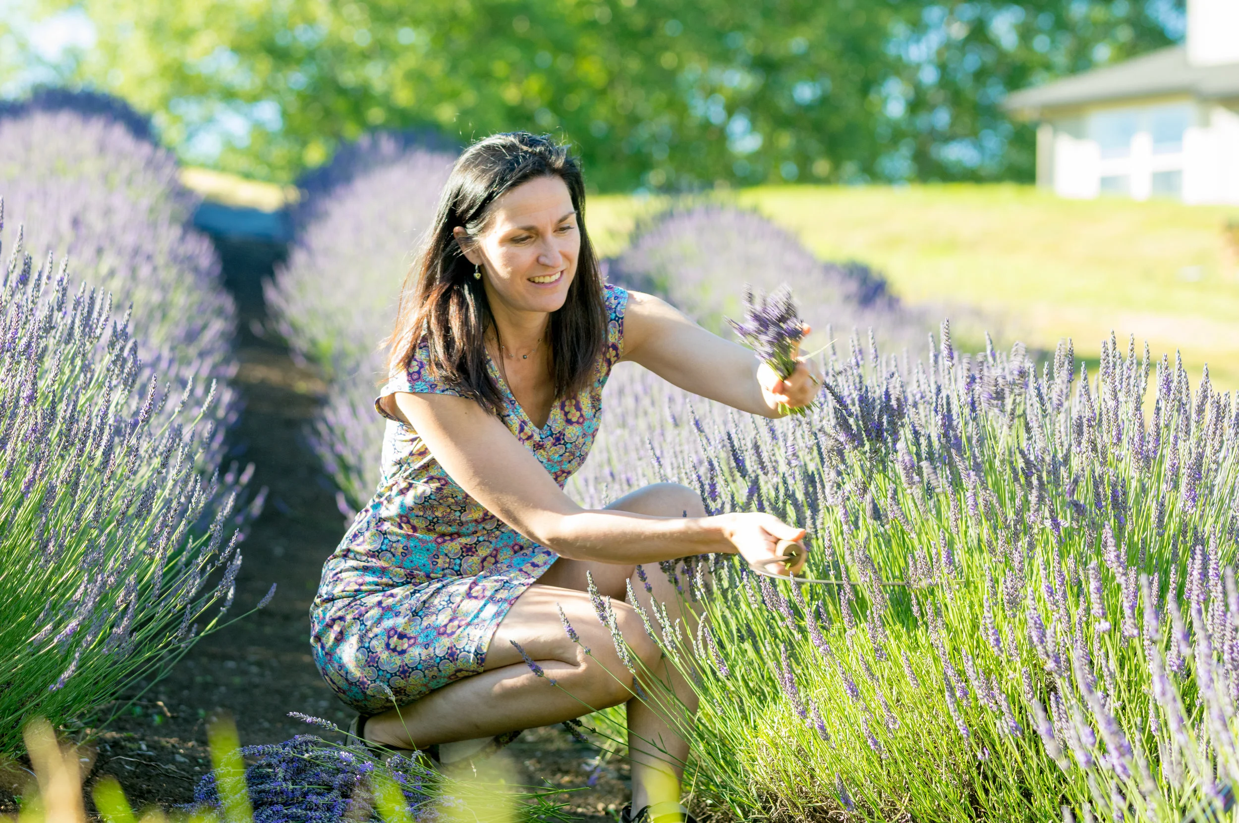 OregonCoastLavender-013-BrokenBanjo.jpg