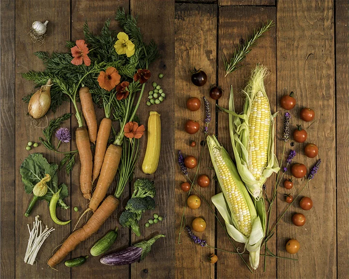 Carrot-wide copy both.jpg