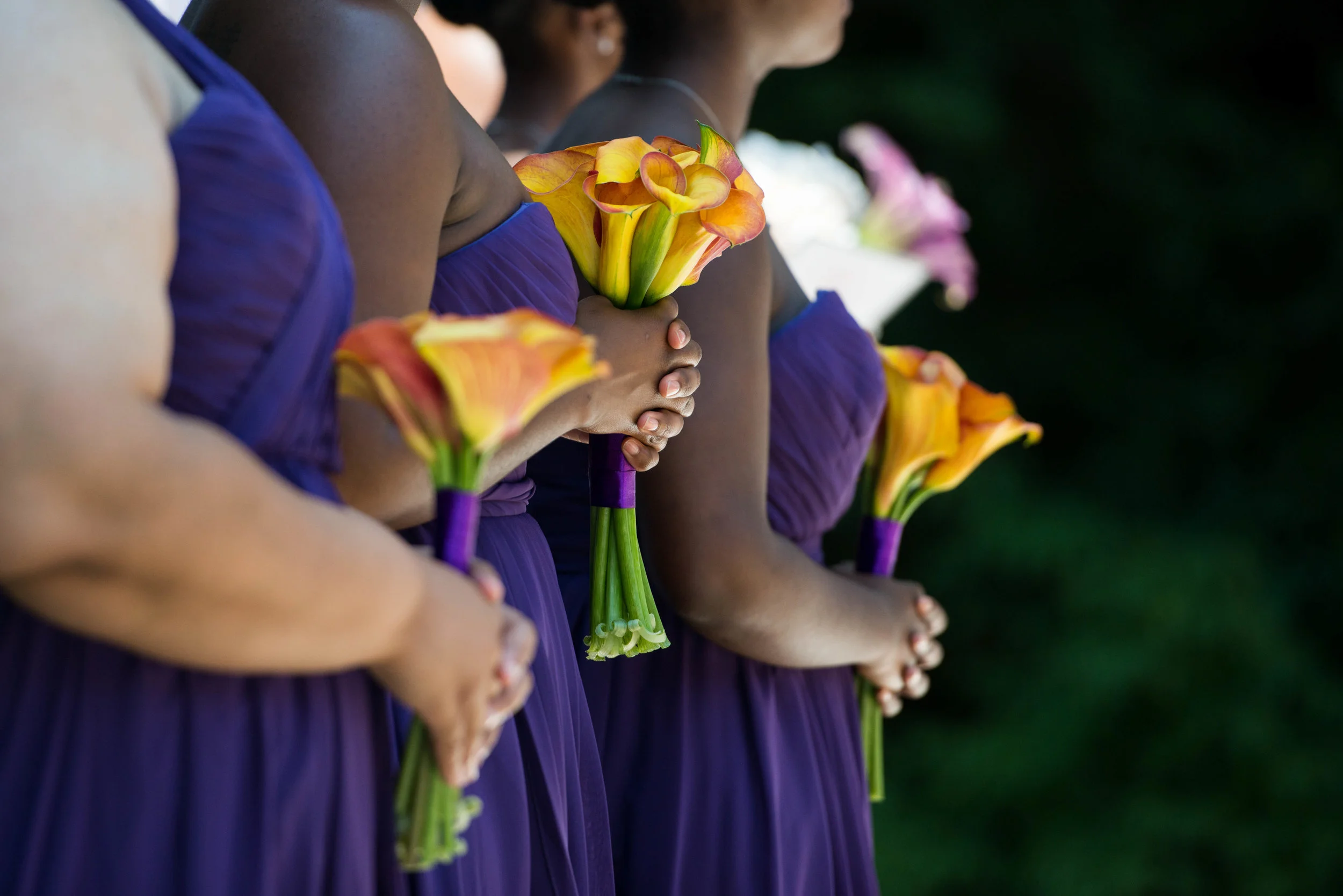 20150719_matthewdruin.com_AKW_148 - Copy.jpg