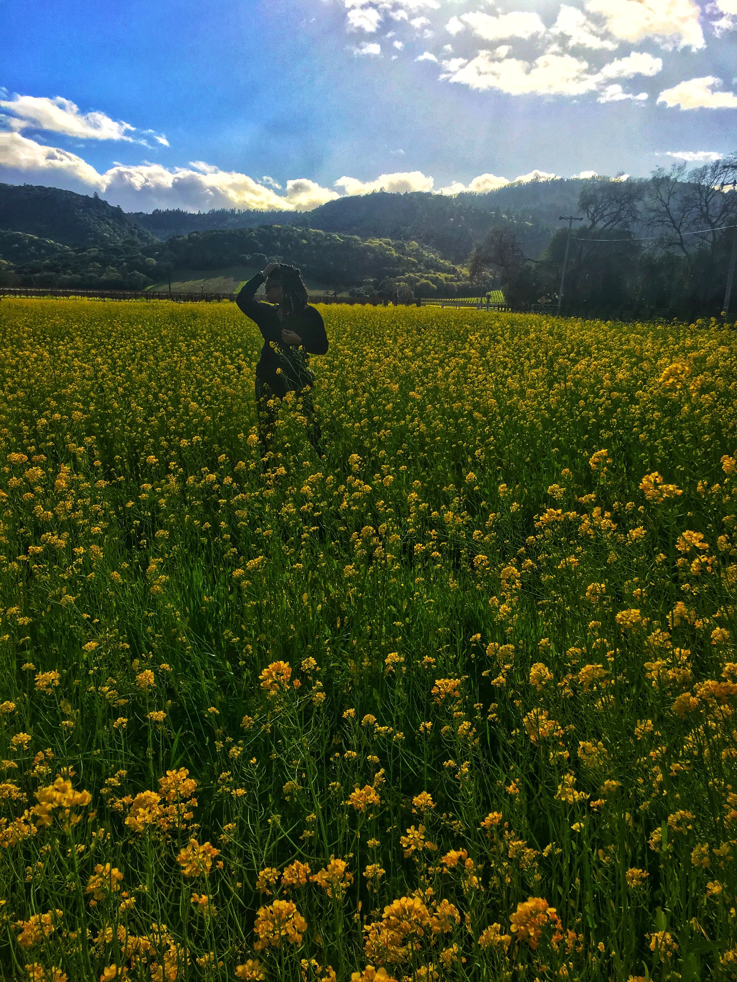 While traveling to the next winery we came across an amazing flower field