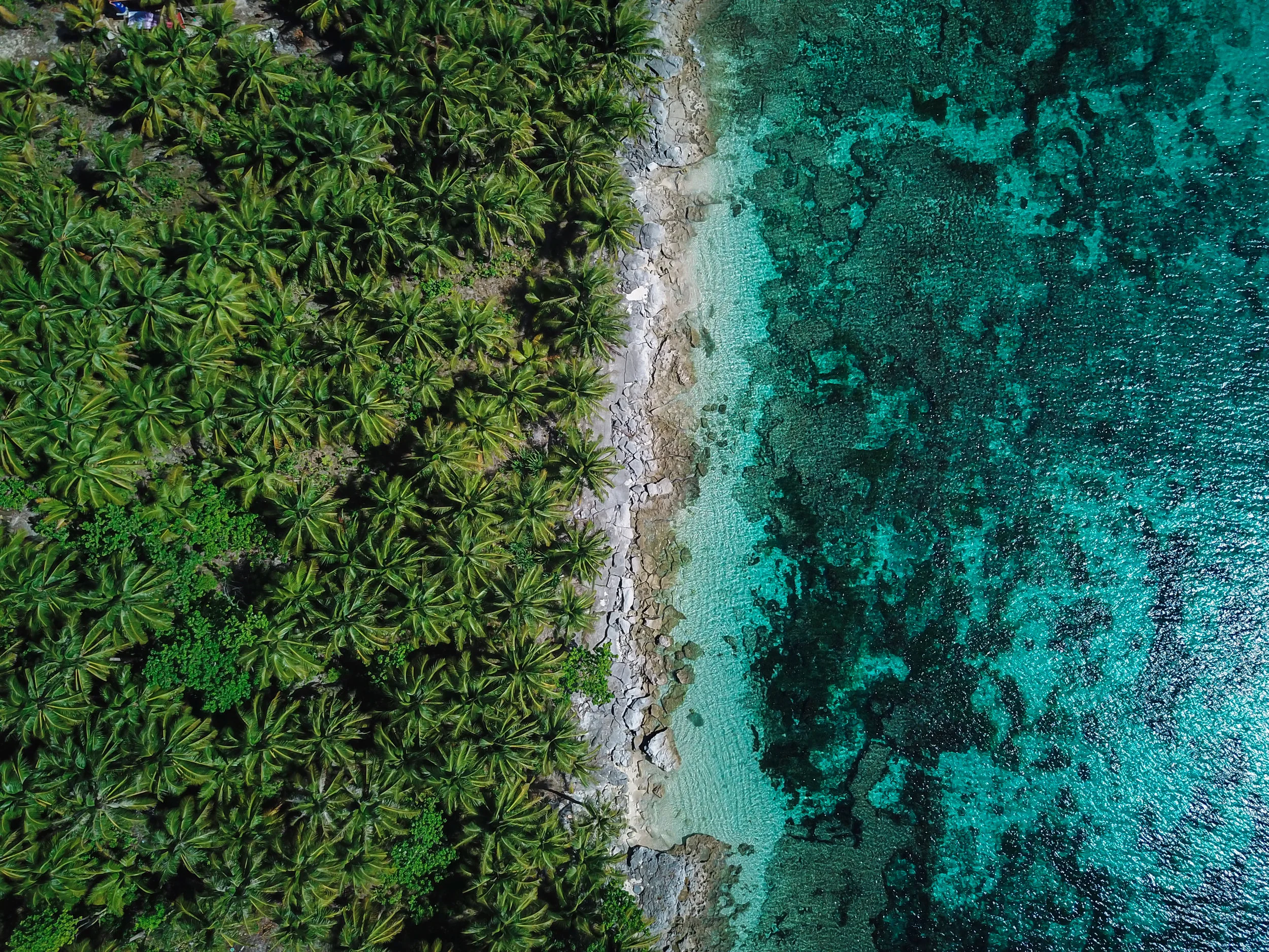 DJI_0681.jpg