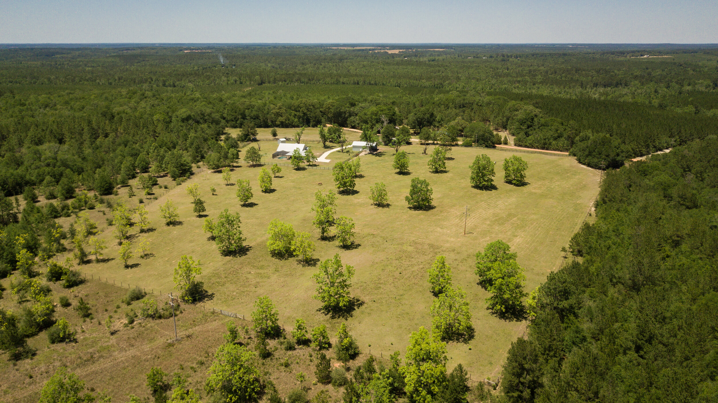 DJI_0016.jpg