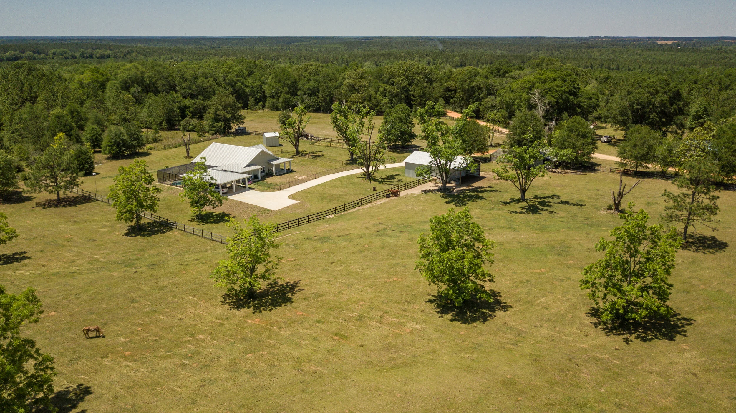 DJI_0019.jpg