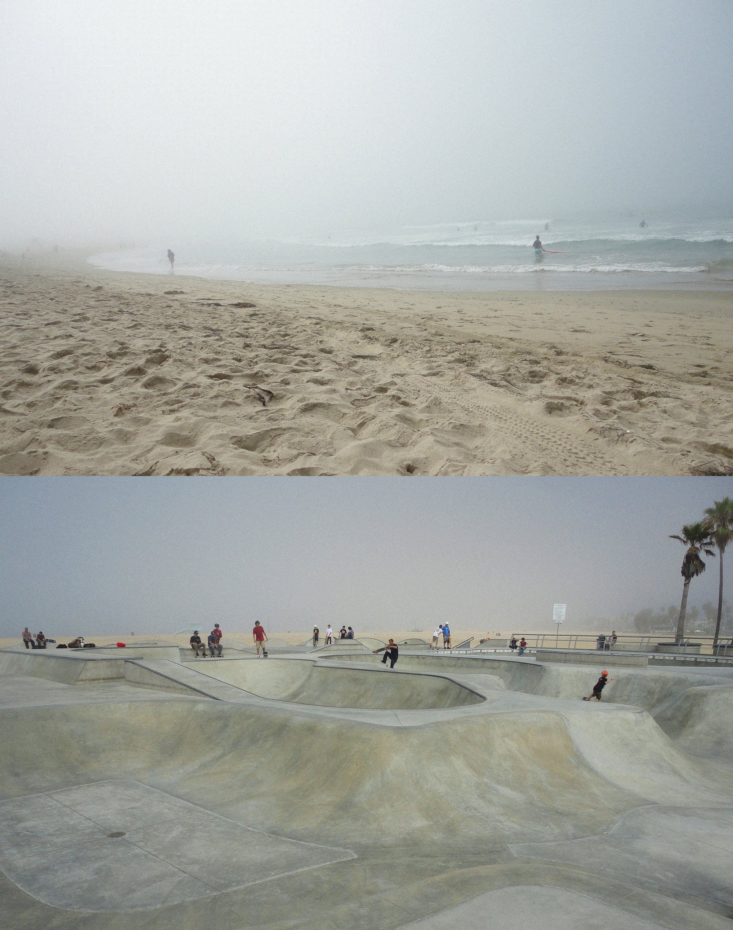Venice, 2011