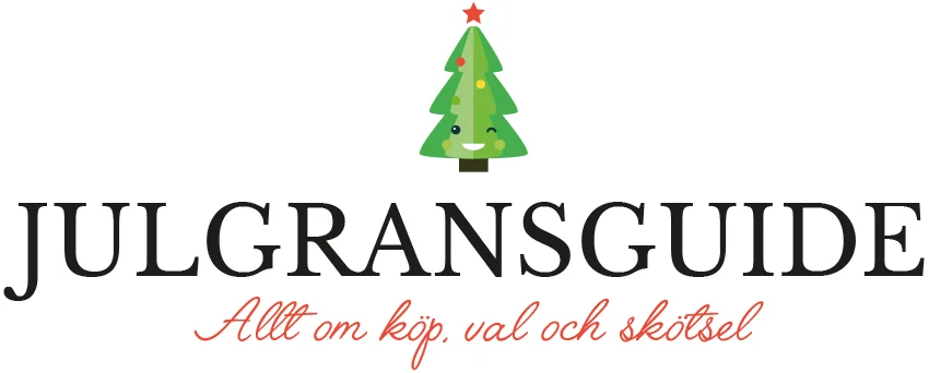 när ska man köpa julgran Julgransguide: Att köpa julgran — Partybutiken som har allt du 