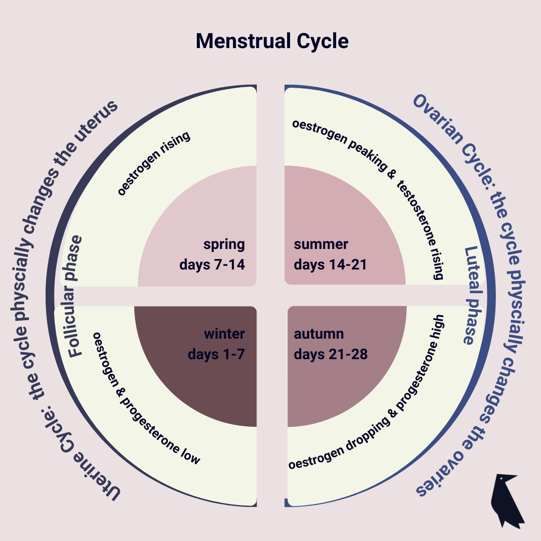 Menstrual Cycle Chart For 35 Days