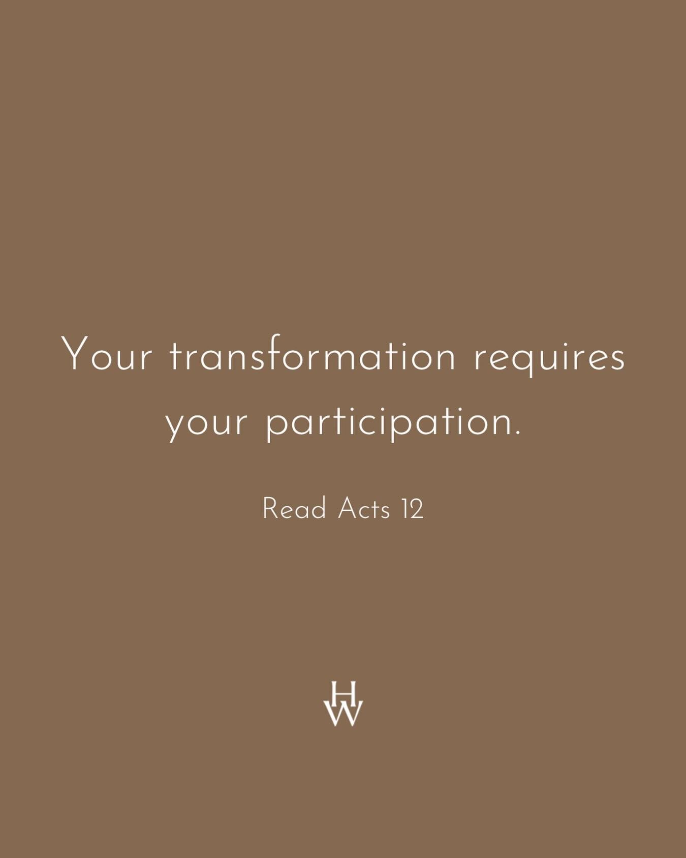 Transformation isn&rsquo;t passive. It&rsquo;s prayer, faith, action, and trust working together with what God is already doing.

Take a few minutes today to read Acts 12 and notice the role people played in the miracle. What might God be inviting yo