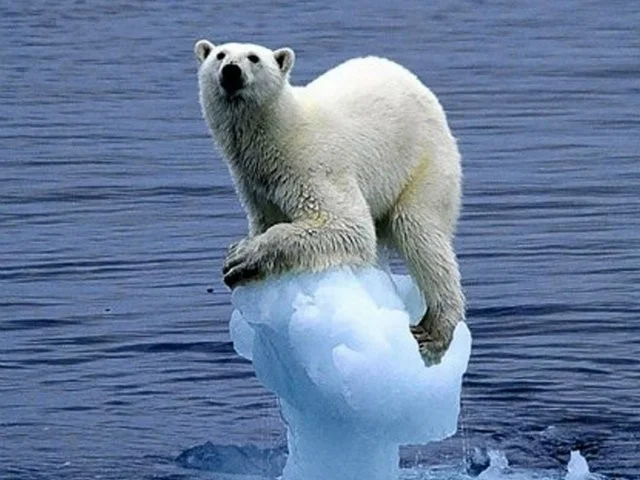 Changing climate – the evidence behind our biggest environmental challenge