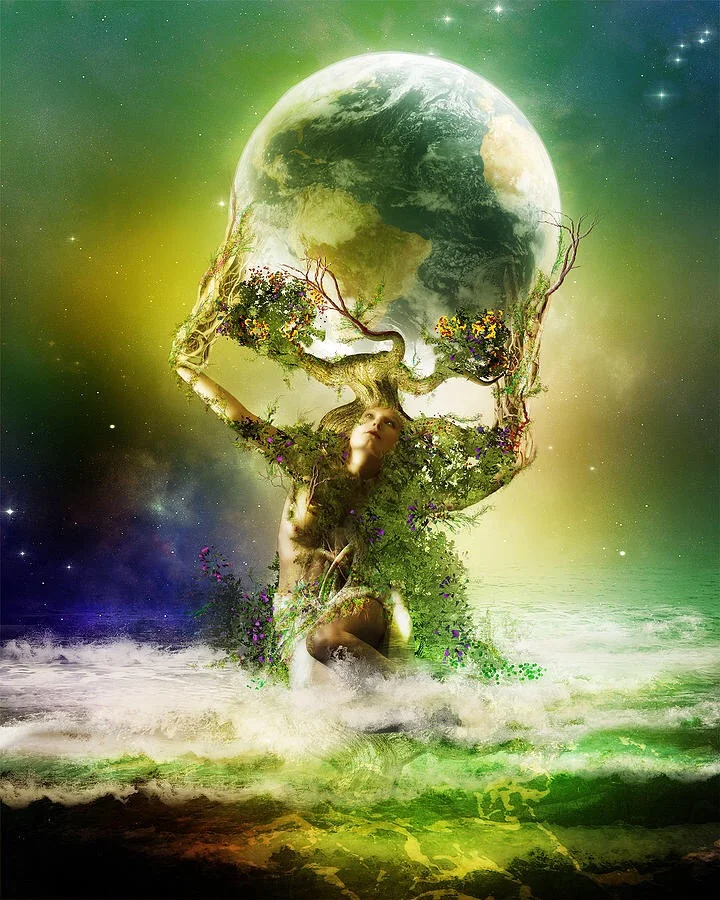 The Origin of Life Series Part 2 : Formation of Life on Earth. 