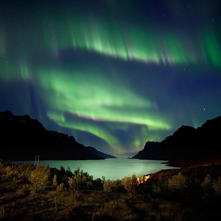 The Aurora