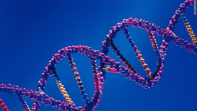 Genes for Jeans?
