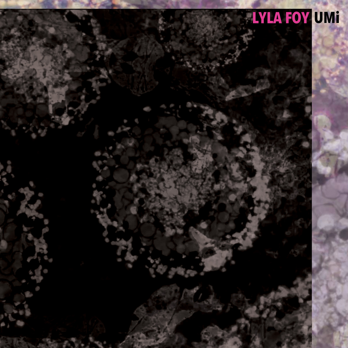 Lyla Foy - Umi.jpg