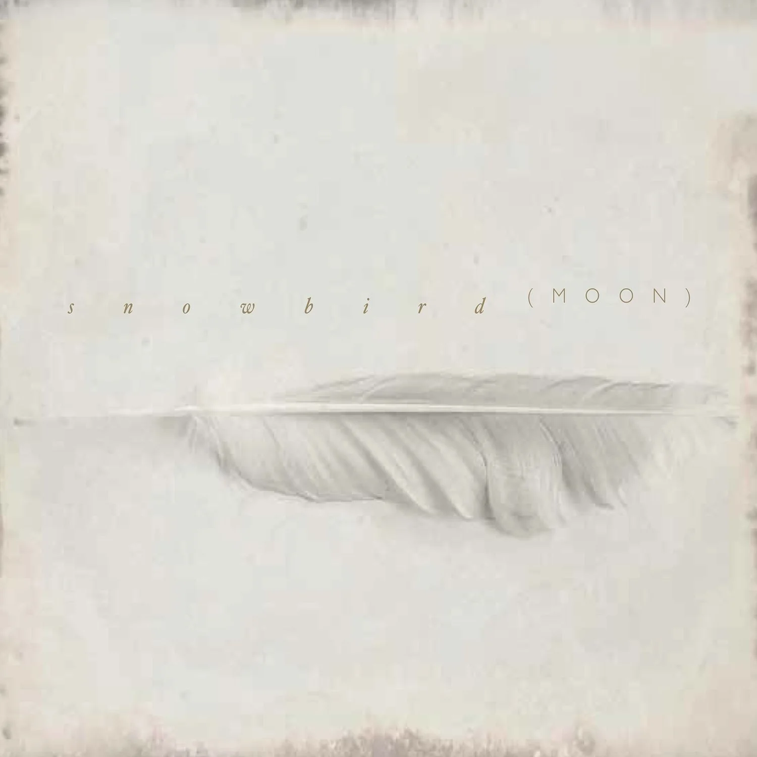 Snowbird - Moon.jpg