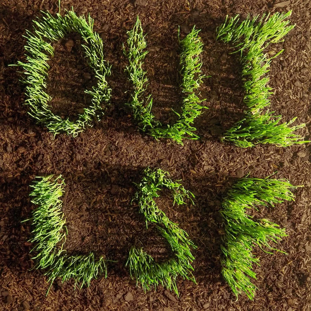 Les Savy Fav - Oui, LSF